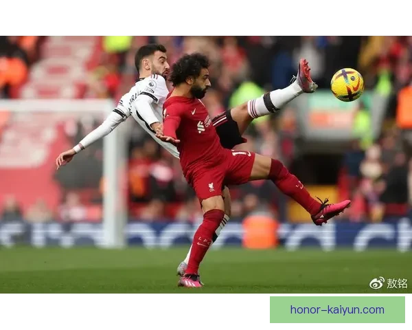 英超南海岸樱桃